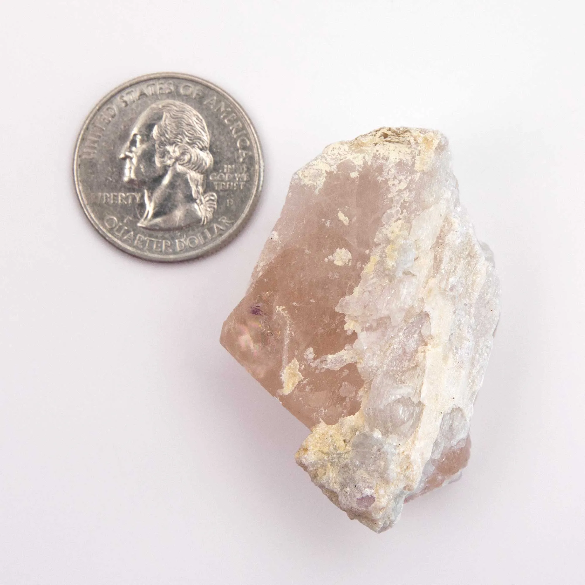 Beryl var. Morganite Terminated - w/ Cleavelendite