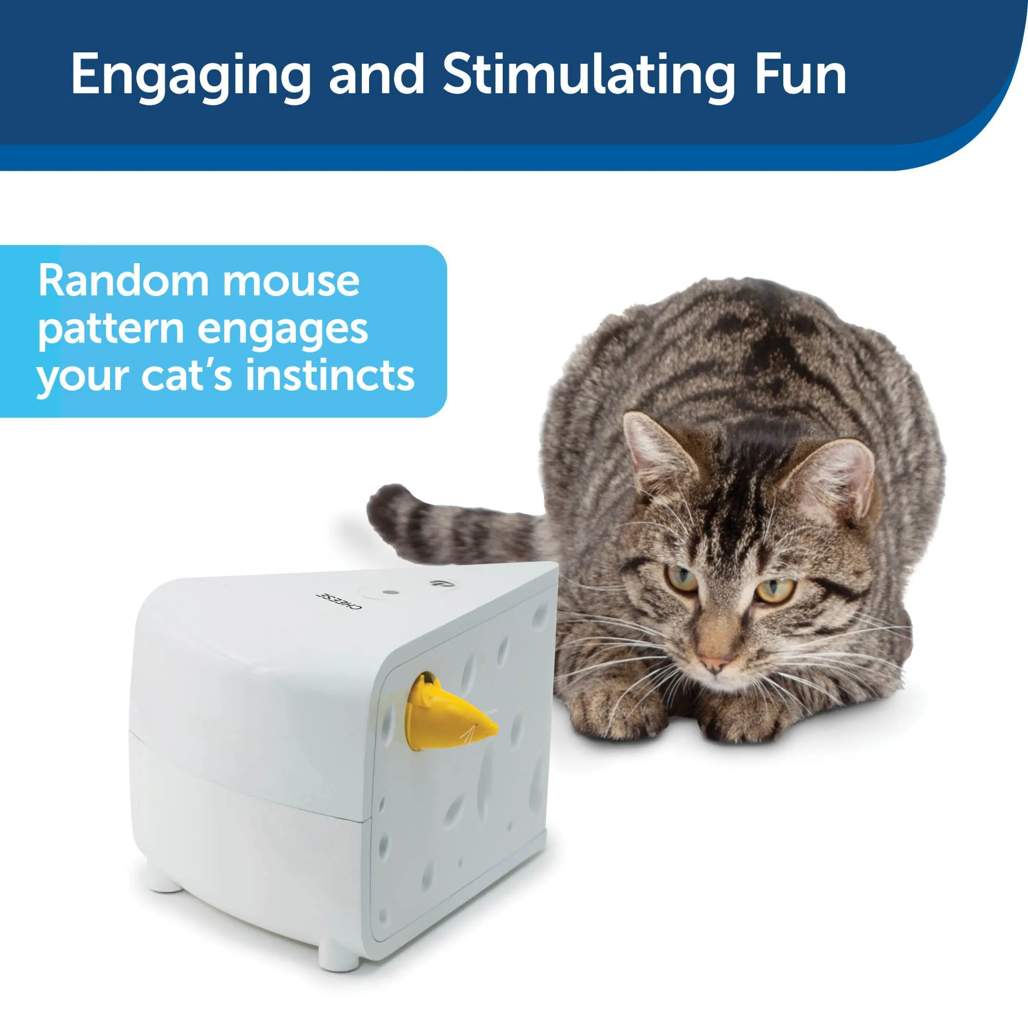 PetSafe Cheese Automatic Cat Toy